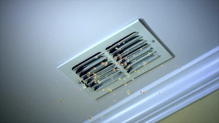 Best Affordable Duct Cleaning Services  in Indian Trail, NC